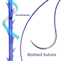 medical consumables absorbable sterile barbed surgical suture with loop