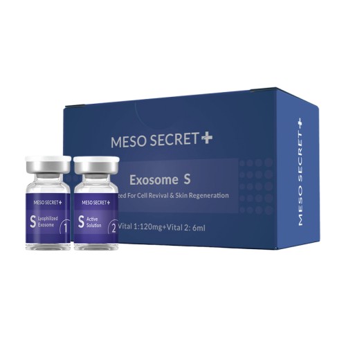 New Product Anti-aging wrinkle reduction exosome lyophilized powder ampoule