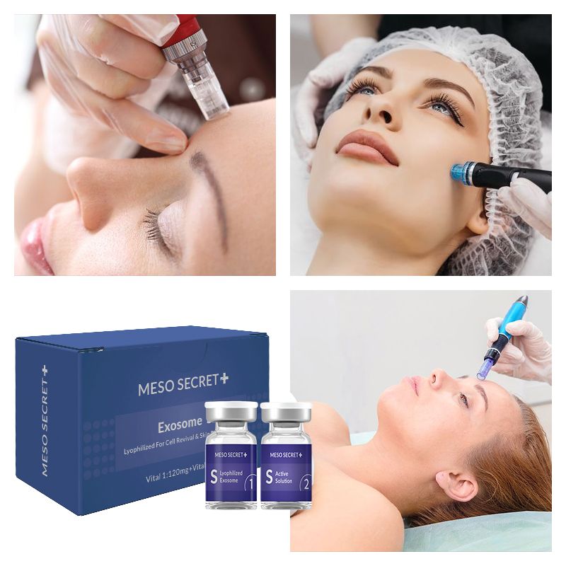 New Product Anti-aging wrinkle reduction exosome lyophilized powder ampoule